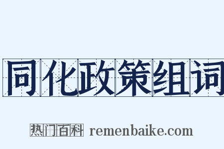 同化政策组词是什么意思的图片